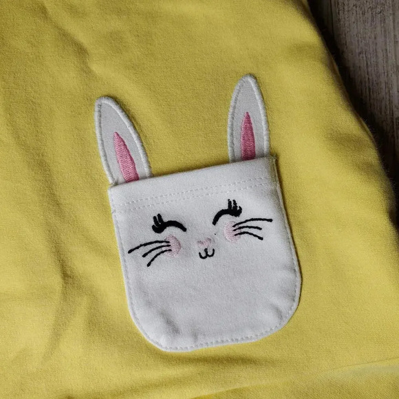 The Children's Place Gymboree Girls Embroidered Bunny Peplum Spring Dress 18-24m - Picture 7 of 12